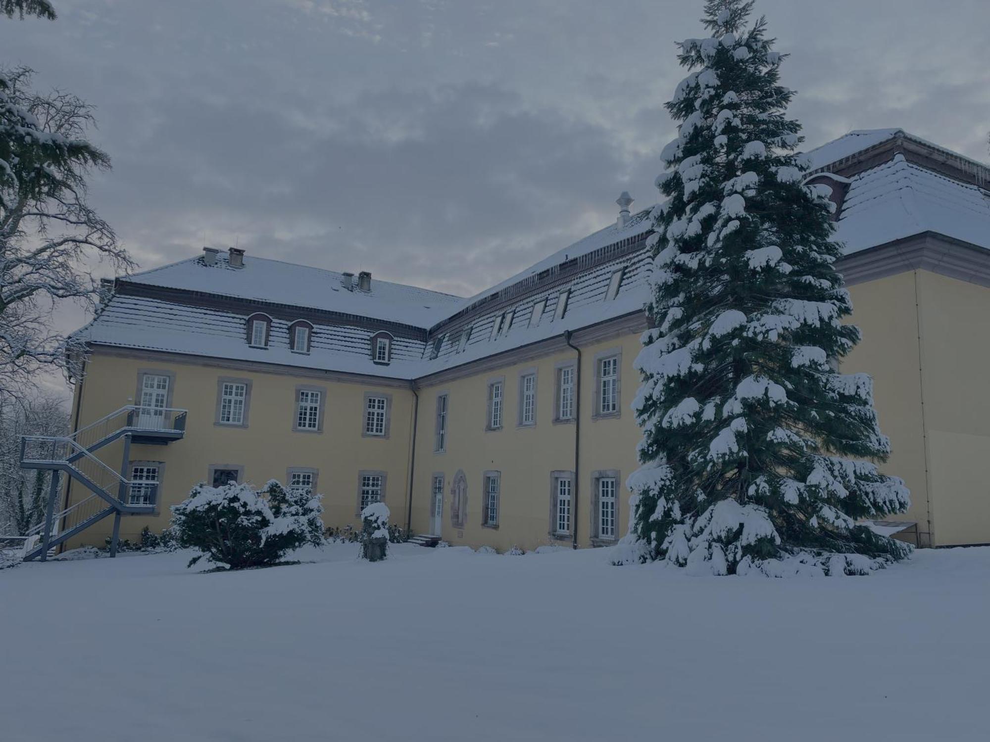 Hotel Schloss Hoehnscheid Бад-Арользен Екстер'єр фото